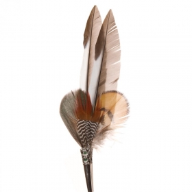 Federschmuck mit H�lse