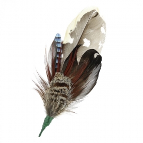 Tiroler Hutfedern - Fasan, Ente, Rebhuhn, Eichelh�her